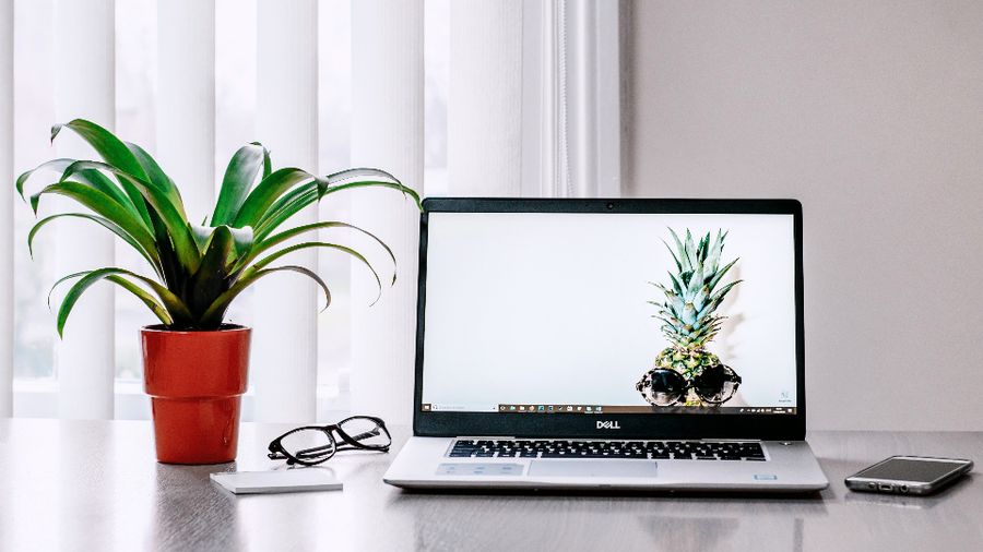 Laptop and potted plant on a bright home-office desk